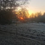 Herbstweide mit Raureif